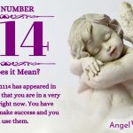 Numerology number 1114