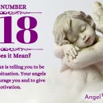 Numerology number 1118