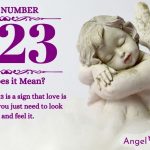 Numerology number 1123