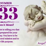 Numerology number 1133