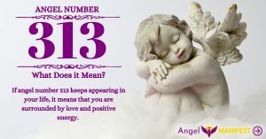 Numerology number 313