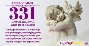Numerology number 331