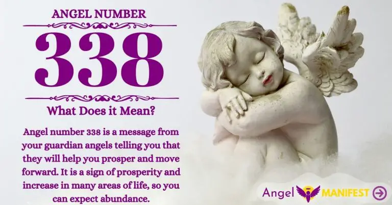 Numerology number 338