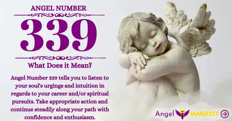 Numerology number 339