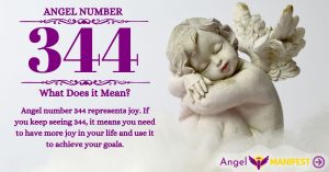 Numerology number 344