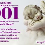 numerology number 1001