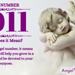 numerology number 1011