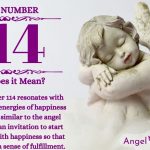numerology number 114