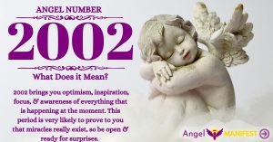 numerology number 2002