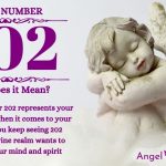numerology number 202