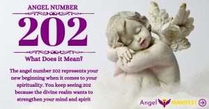 numerology number 202