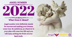 numerology number 2022