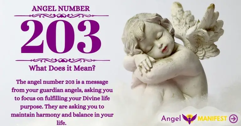numerology number 203