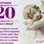 numerology number 220