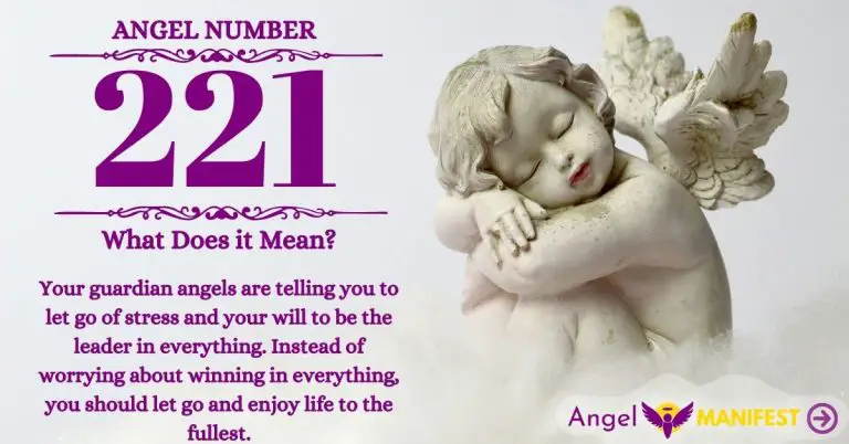 numerology number 221