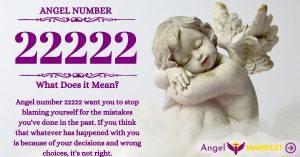 numerology number 22222