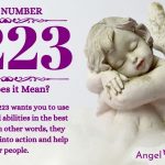 numerology number 2223