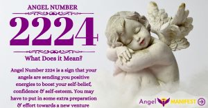 numerology number 2224