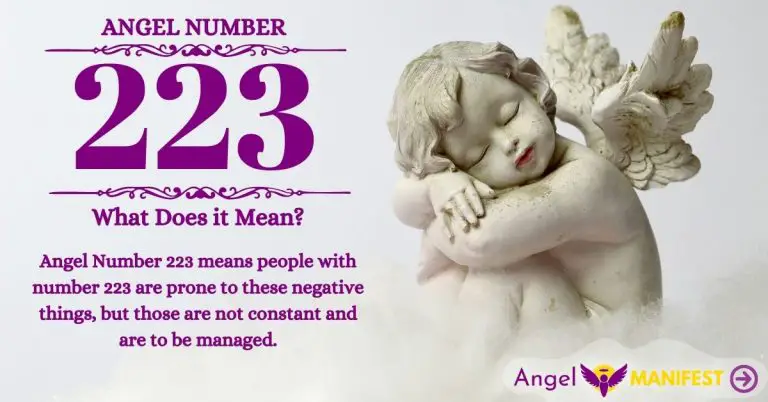 numerology number 223