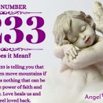 numerology number 2233