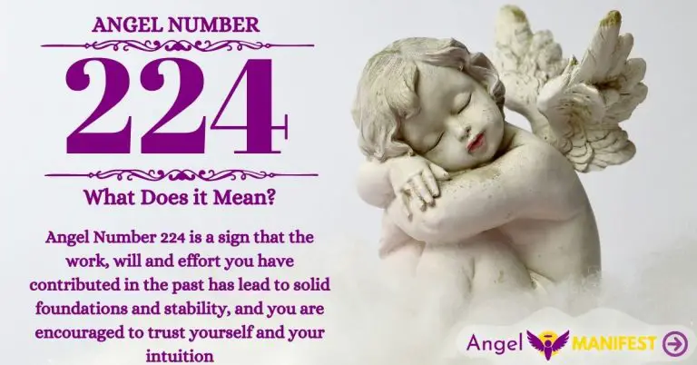numerology number 224