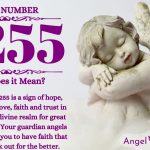 numerology number 2255