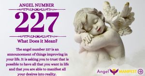 numerology number 227