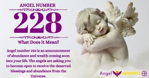 numerology number 228