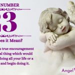numerology number 23