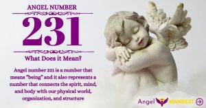 numerology number 231