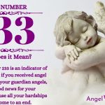 numerology number 233