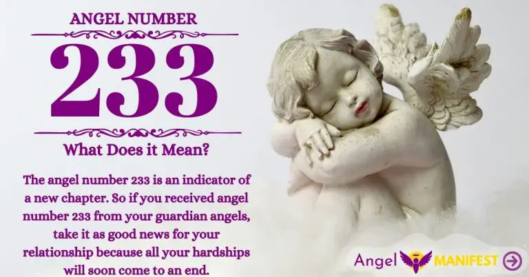 numerology number 233