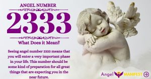 numerology number 2333