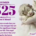 numerology number 2525