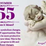 numerology number 255