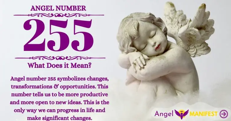 numerology number 255