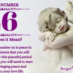 numerology number 26