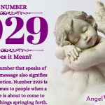 numerology number 2929