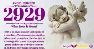 numerology number 2929