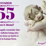 numerology number 555