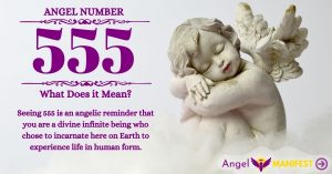numerology number 555