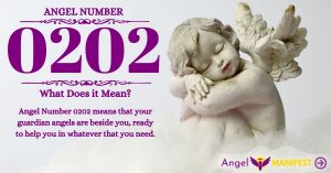 Numerology number 0202