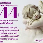 Numerology number 1444