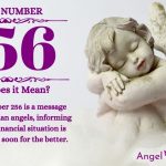 Numerology number