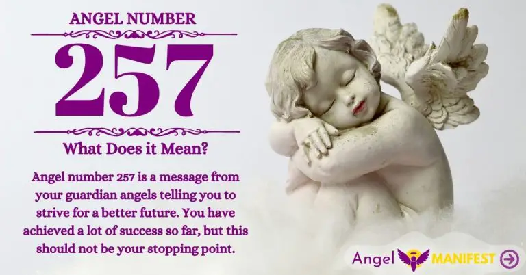 Numerology number 257