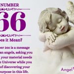 Numerology number 266