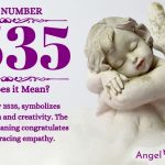Numerology number 3535