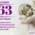 Numerology number 363