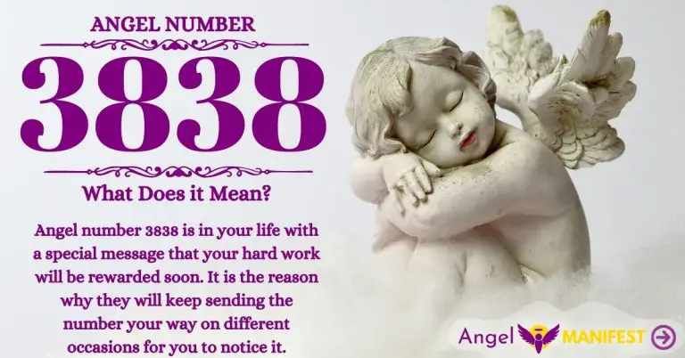 Numerology number 3838