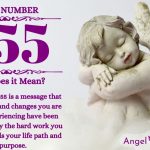 Numerology number 455